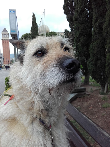 Clínica Veterinaria del Bages en Manresa