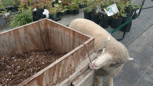 Florist «Hill Haven Farm & Greenhouse & Florist», reviews and photos, 7842 Center Rd, Valley City, OH 44280, USA