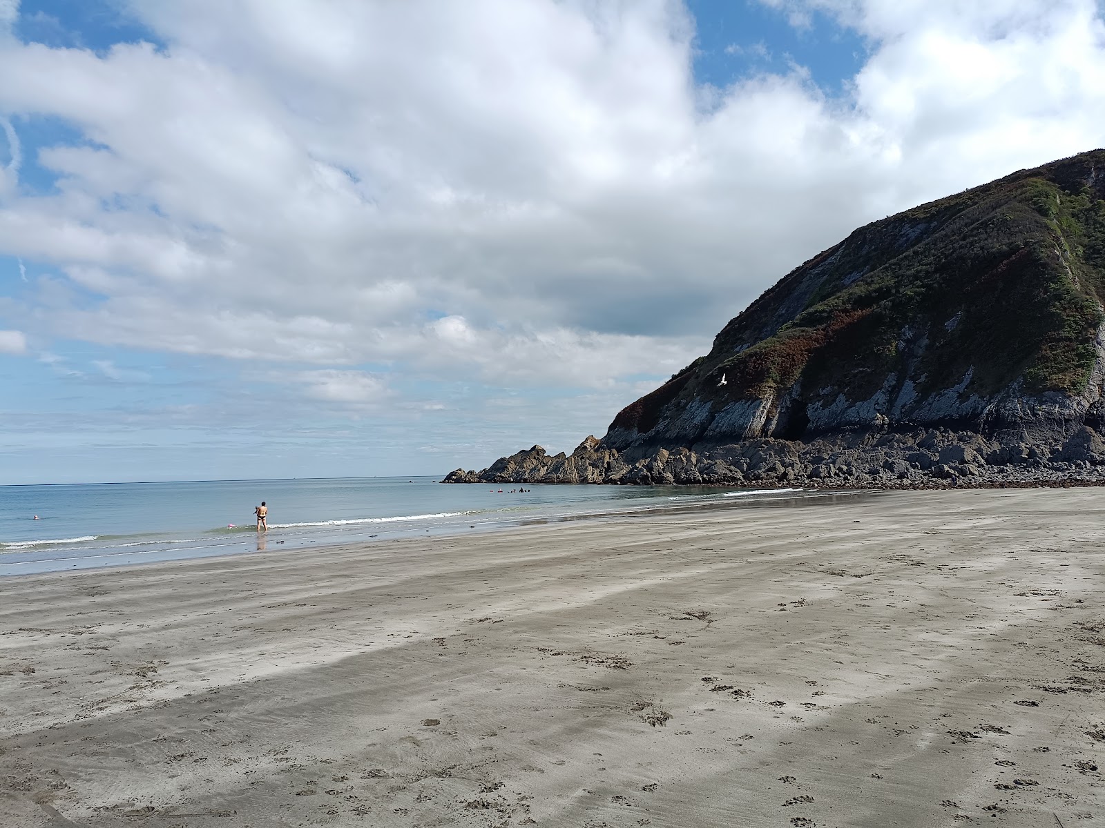 Foto von Plage du Pointe de Pors Pin wilde gegend