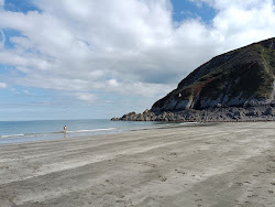 Foto von Plage du Pointe de Pors Pin wilde gegend