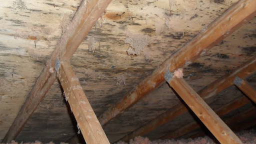 Super Attic Solution