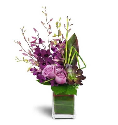 Florist «J E Flower Shop», reviews and photos, 141 Broad St, New Britain, CT 06053, USA