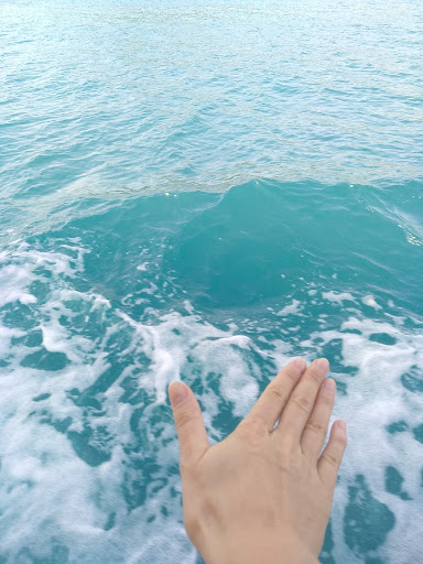 No Name Travel Agency