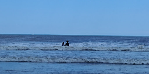 Surf Shop «7th Street Surf Shop», reviews and photos, 654 Boardwalk, Ocean City, NJ 08226, USA