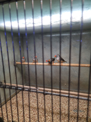 Pet Store «Moby Dick Pet Store Inc», reviews and photos, 3700 Sashabaw Rd, Waterford Twp, MI 48329, USA