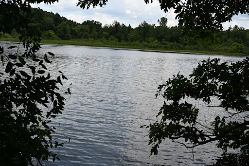 Bird Watching Area «Haehnle Sanctuary», reviews and photos, Seymour Rd, Pleasant Lake, MI 49272, USA