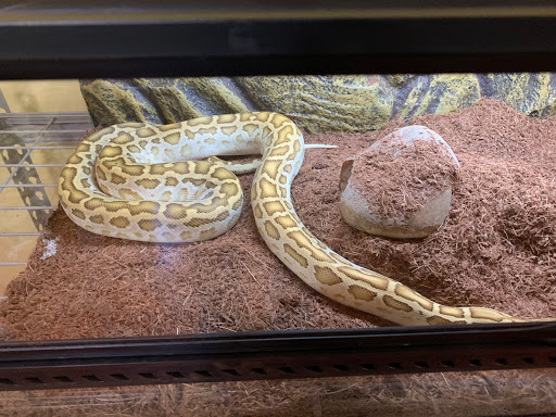 Pet Store «Bird Dog & Catfish», reviews and photos, 115 Old Boerne Rd, Bulverde, TX 78163, USA