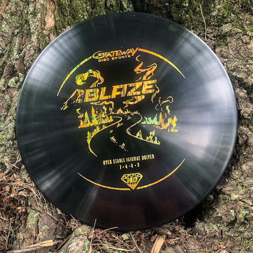 Sporting Goods Store «Gateway Disc Sports», reviews and photos, 10855 Metro Ct, Maryland Heights, MO 63043, USA