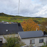 Photo n°2 de l'avis de Roswitha.c fait le 03/11/2023 à 19:29 sur le  Weinhotel & Restaurant Platz à Veldenz