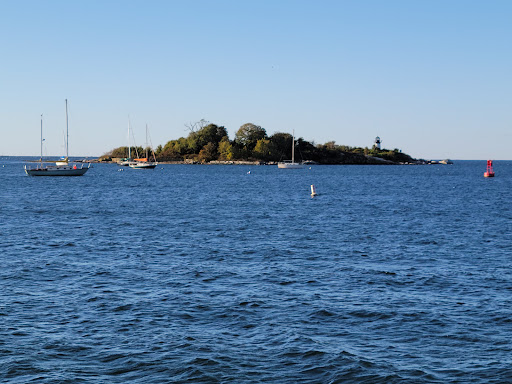 Whale Watching Tour Agency «Cape Ann Whale Watch», reviews and photos, 415 Main St, Gloucester, MA 01930, USA