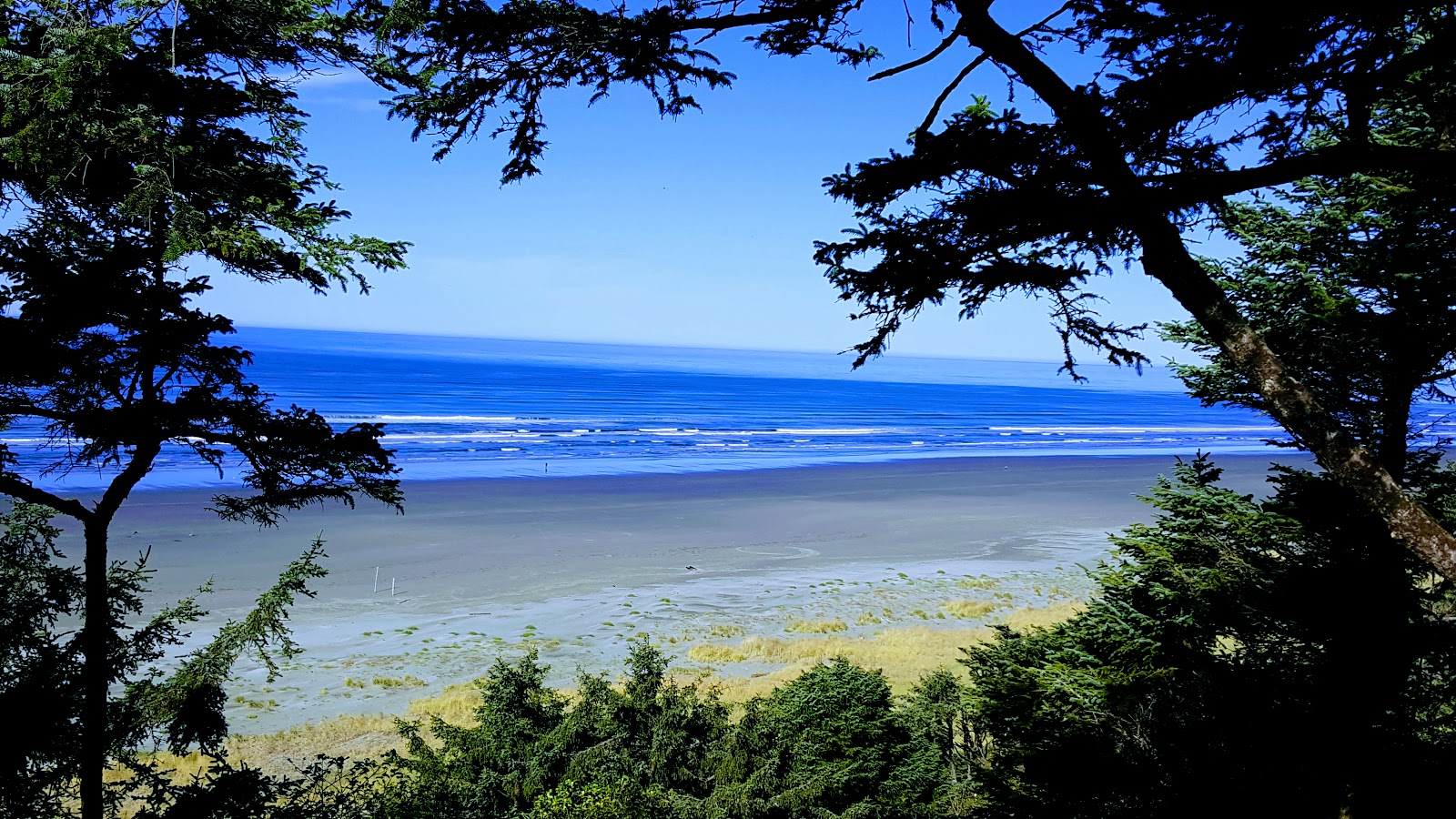 Photo of Mocrocks Beach wild area