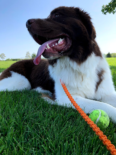 Park «Millennium Park», reviews and photos, 300 Gardner Street, West Roxbury, MA 02132, USA