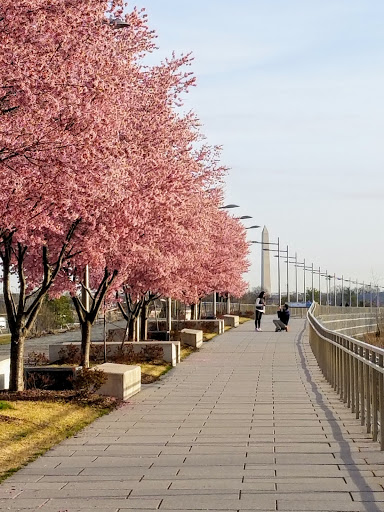 Park «Long Bridge Park», reviews and photos, 475 Long Bridge Drive, Arlington, VA 22202, USA