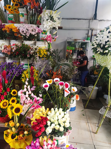 Mercado De Flores San Borja