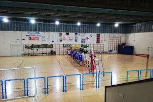 Montebelluna Volley image