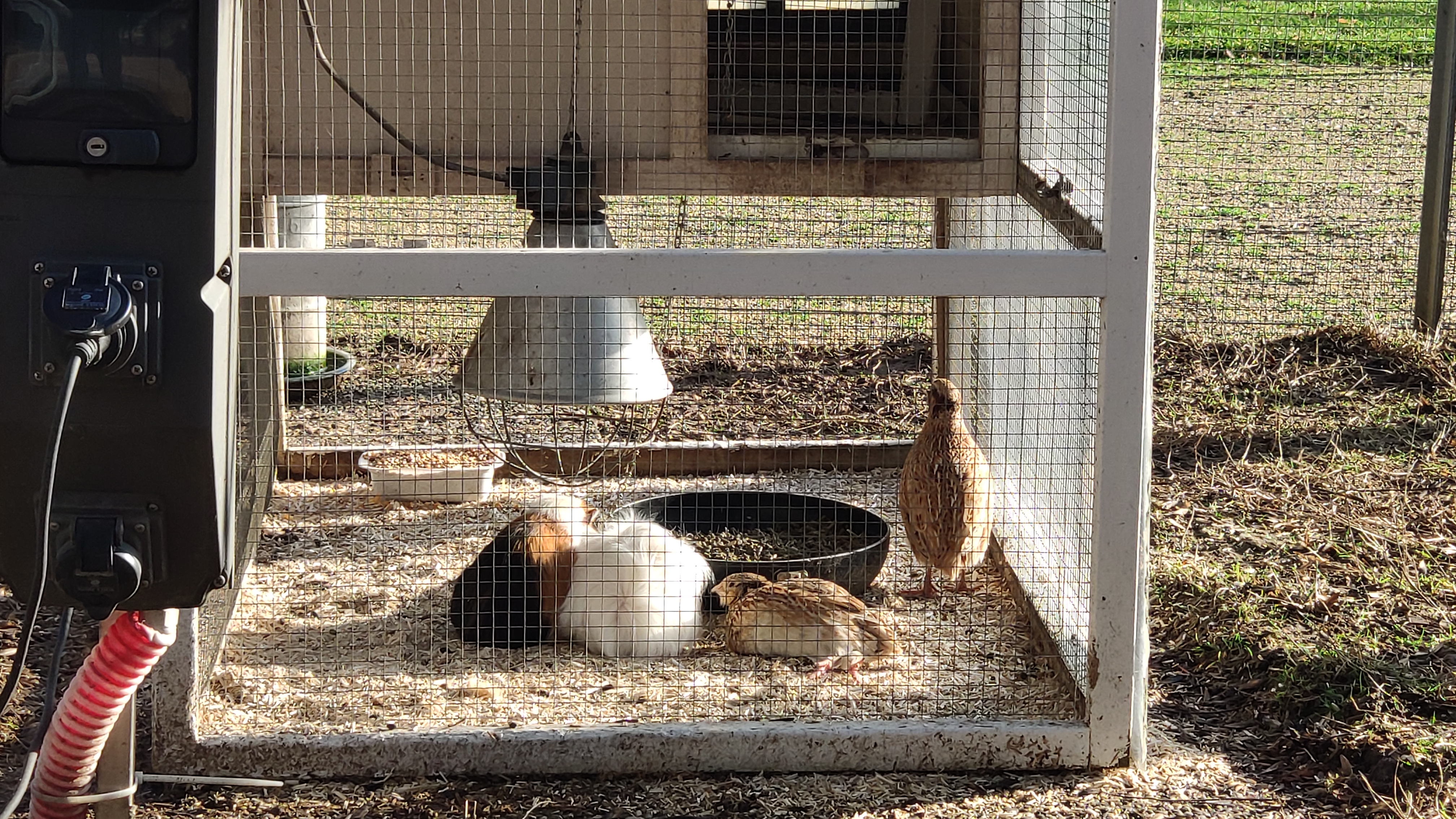 Photo n° 1 de l'avis de CYRIL.U fait le 31/12/2020 à 13:47