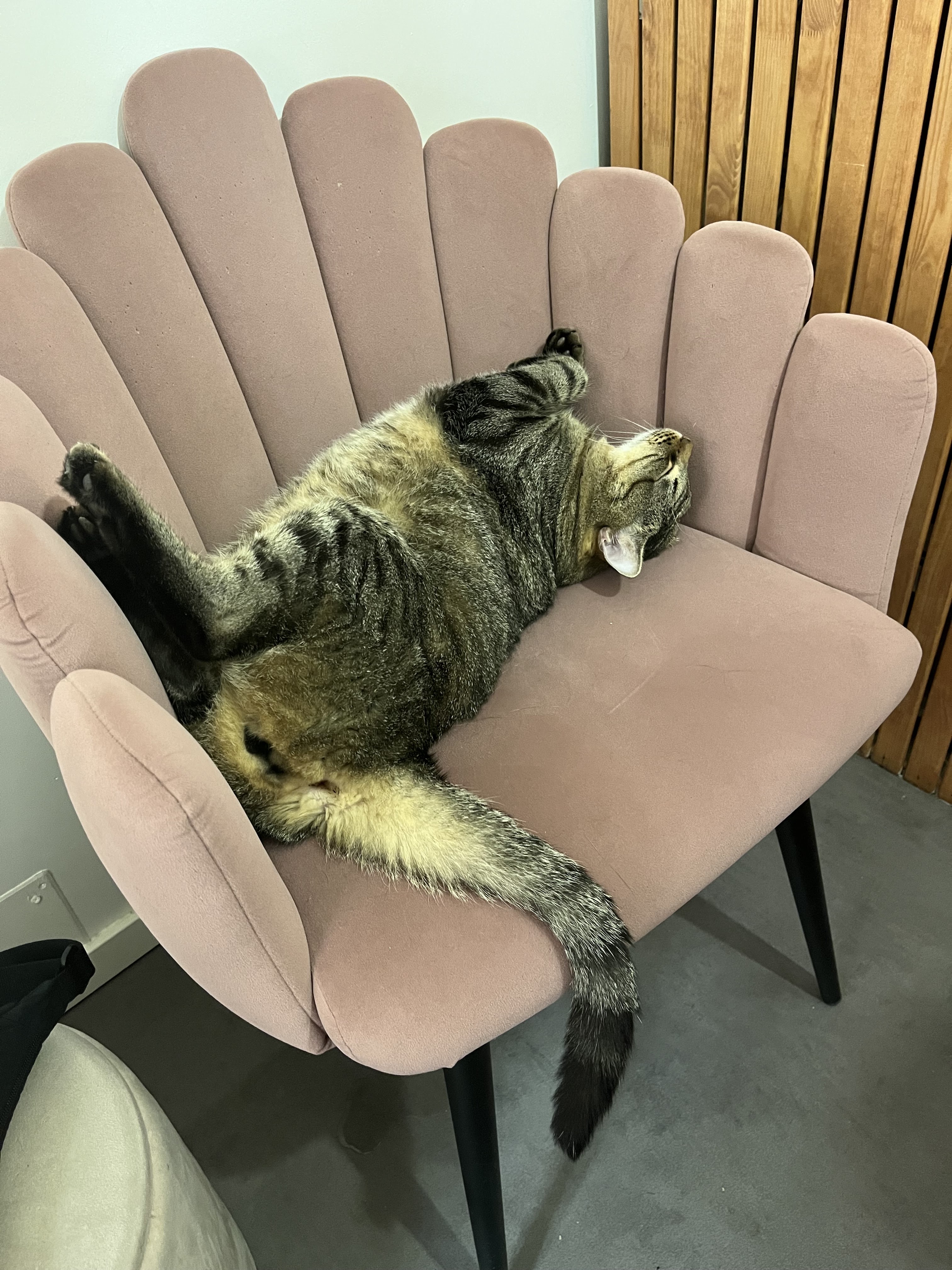 Photo n° 2 de l'avis de Thomas.e fait le 29/07/2023 à 15:28