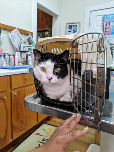 Bogalusa Animal Clinic image