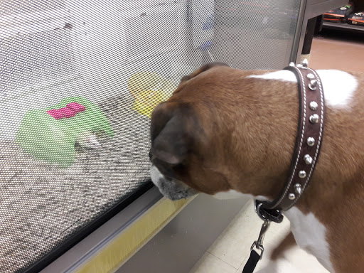 Pet Supply Store «Petco Animal Supplies», reviews and photos, 15660 SW Pacific Hwy, Tigard, OR 97224, USA