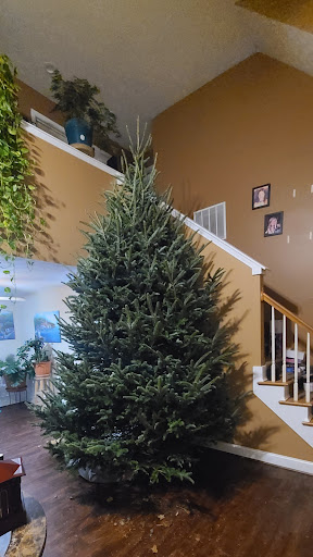 Farm «Buford Corn Maze.», reviews and photos, 4470 Bennett Rd, Buford, GA 30519, USA