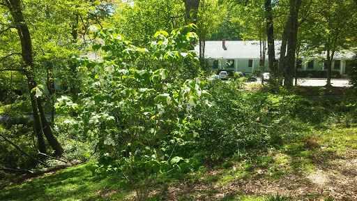 Park «Chastain Memorial Park», reviews and photos, 140 W Wieuca Rd NW, Atlanta, GA 30342, USA