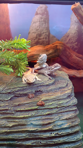 Pet Supply Store «PetSmart», reviews and photos, 5001 Sergeant Rd, Sioux City, IA 51106, USA