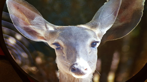 Science Museum «MOST Syracuse (Museum of Science & Technology)», reviews and photos, 500 S Franklin St, Syracuse, NY 13202, USA