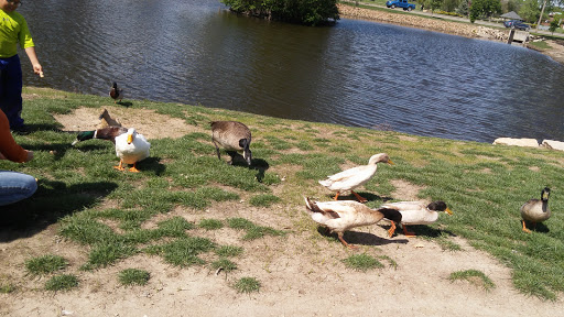 Zoo «Topeka Zoo», reviews and photos, 636 SW Zoo Pkwy, Topeka, KS 66606, USA