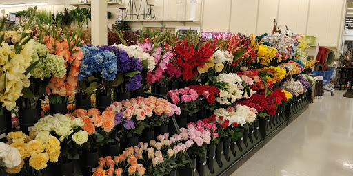 Craft Store «Hobby Lobby», reviews and photos, 2728 E Colonial Dr, Orlando, FL 32803, USA