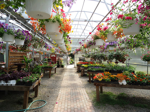Garden Center «Town & Country Nurseries», reviews and photos, 1036 Saybrook Rd, Haddam, CT 06438, USA