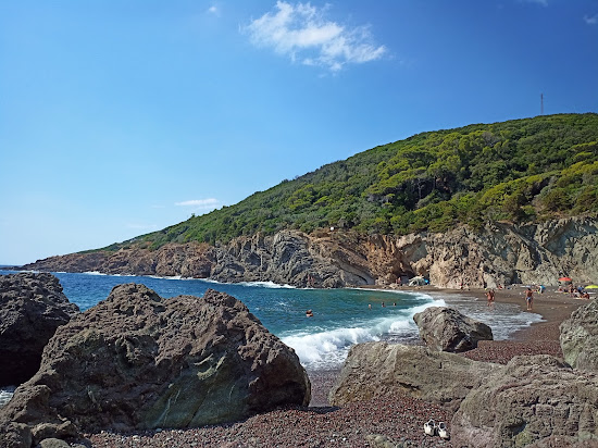 Cala del Leone