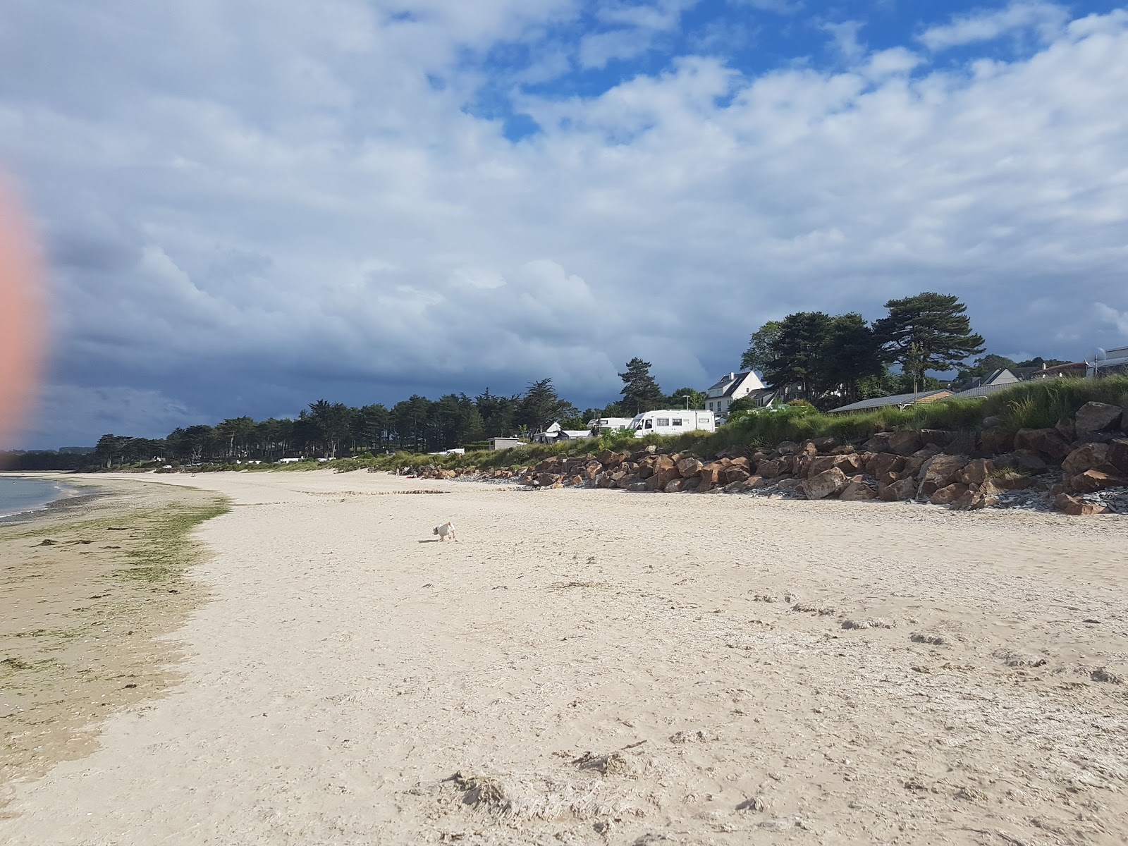 Foto van Plage du Fond de la Baie - populaire plek onder ontspanningskenners