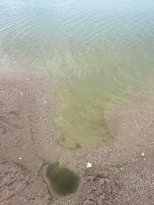 Réservoir de Vingeanne où de Villegusien à Longeau-Percey