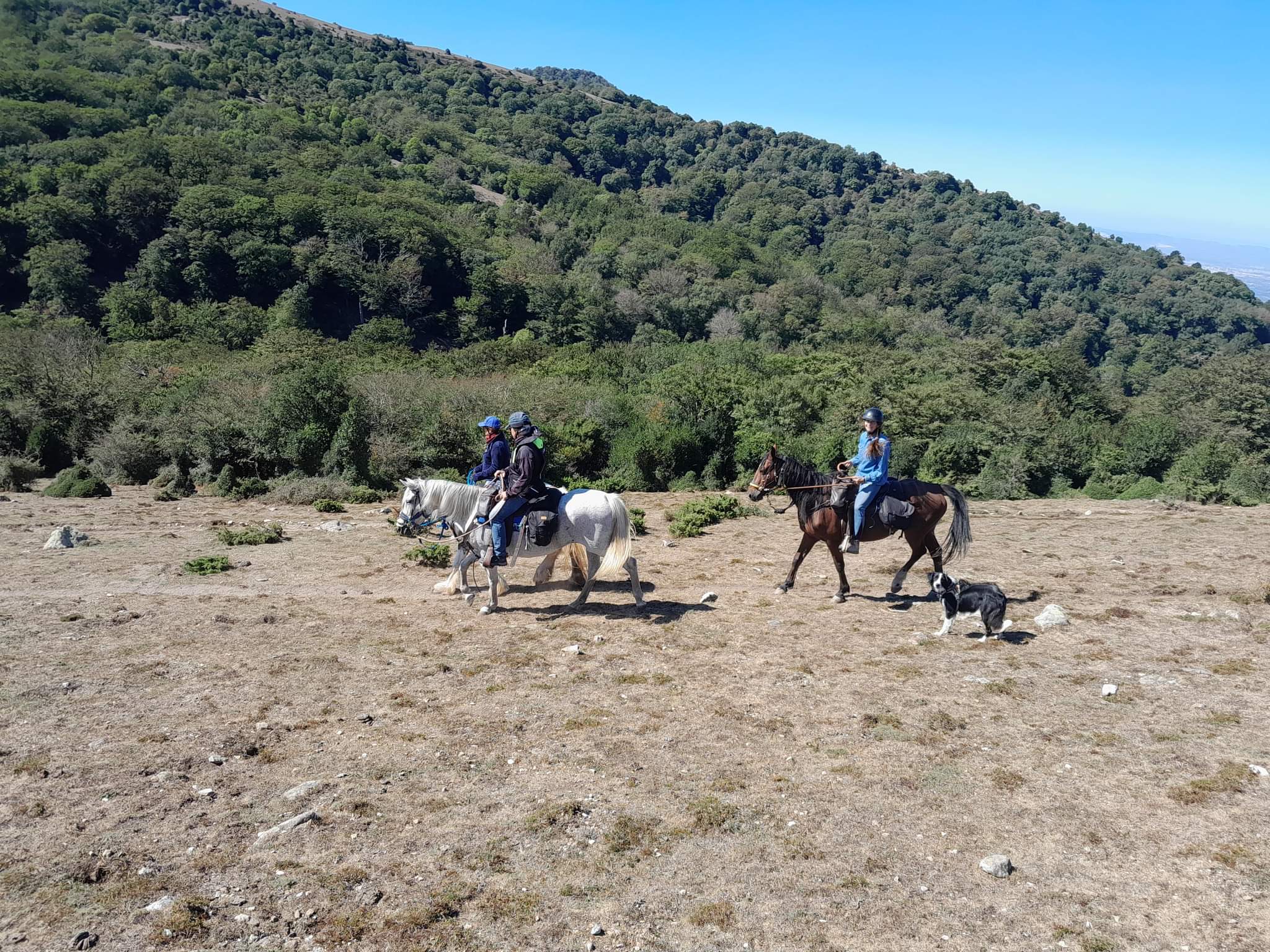 Photo n° 5 de l'avis de Nadege.a fait le 21/09/2022 à 13:22
