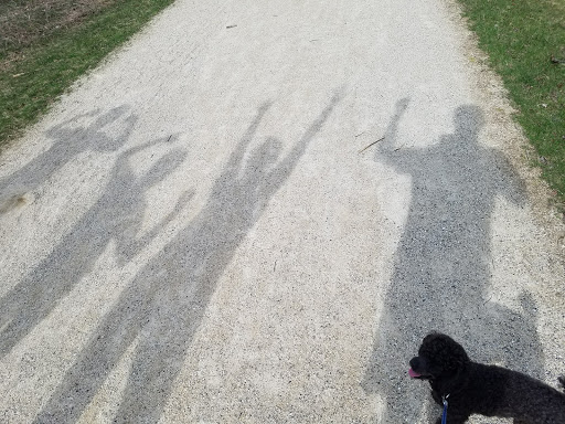 Nature Preserve «Buffalo Creek Forest Preserve», reviews and photos, 18163 W Checker Rd, Long Grove, IL 60047, USA