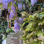 Photo n°7 de l'avis de Pebe. fait le 12/05/2023 à 18:03 sur le  Gartenwirtschaft Johanneshof à Hockenheim