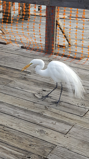 State Park «Myrtle Beach State Park», reviews and photos, 4401 S Kings Hwy, Myrtle Beach, SC 29575, USA