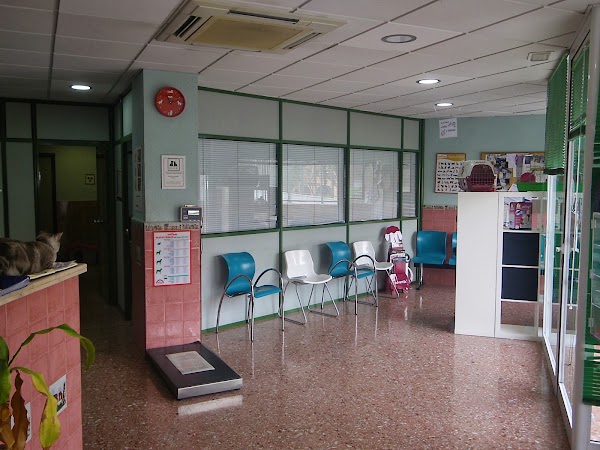 Centro Veterinario Blasvet