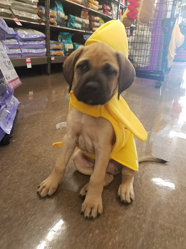 Pet Supply Store «Pet Supplies Plus», reviews and photos, 15060 Eureka Rd, Southgate, MI 48195, USA