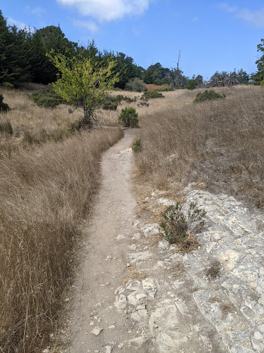 Tourist Attraction «Natural Bridges Monarch Trail», reviews and photos, 2531 W Cliff Dr, Santa Cruz, CA 95060, USA