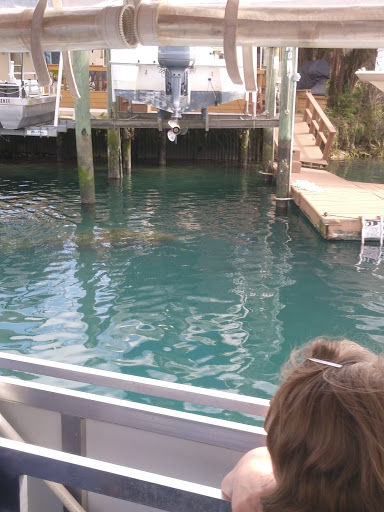 Sightseeing Tour Agency «Manatee Tour and Dive», reviews and photos, 36 NE 4th St, Crystal River, FL 34428, USA
