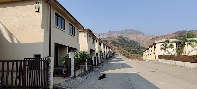 Google Maps image 13