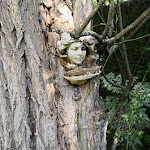 Photo n° 20 de l'avis de Eurydice.a fait le 15/09/2019 à 12:42 pour Le Jardin Retiré à Bagnoles de l'Orne Normandie