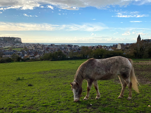 Équitation Mers-Les-Bains à Mers-les-Bains, Somme