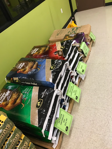 Pet Supply Store «Pet Club S Avondale», reviews and photos, 11435 W Buckeye Rd a106, Avondale, AZ 85323, USA