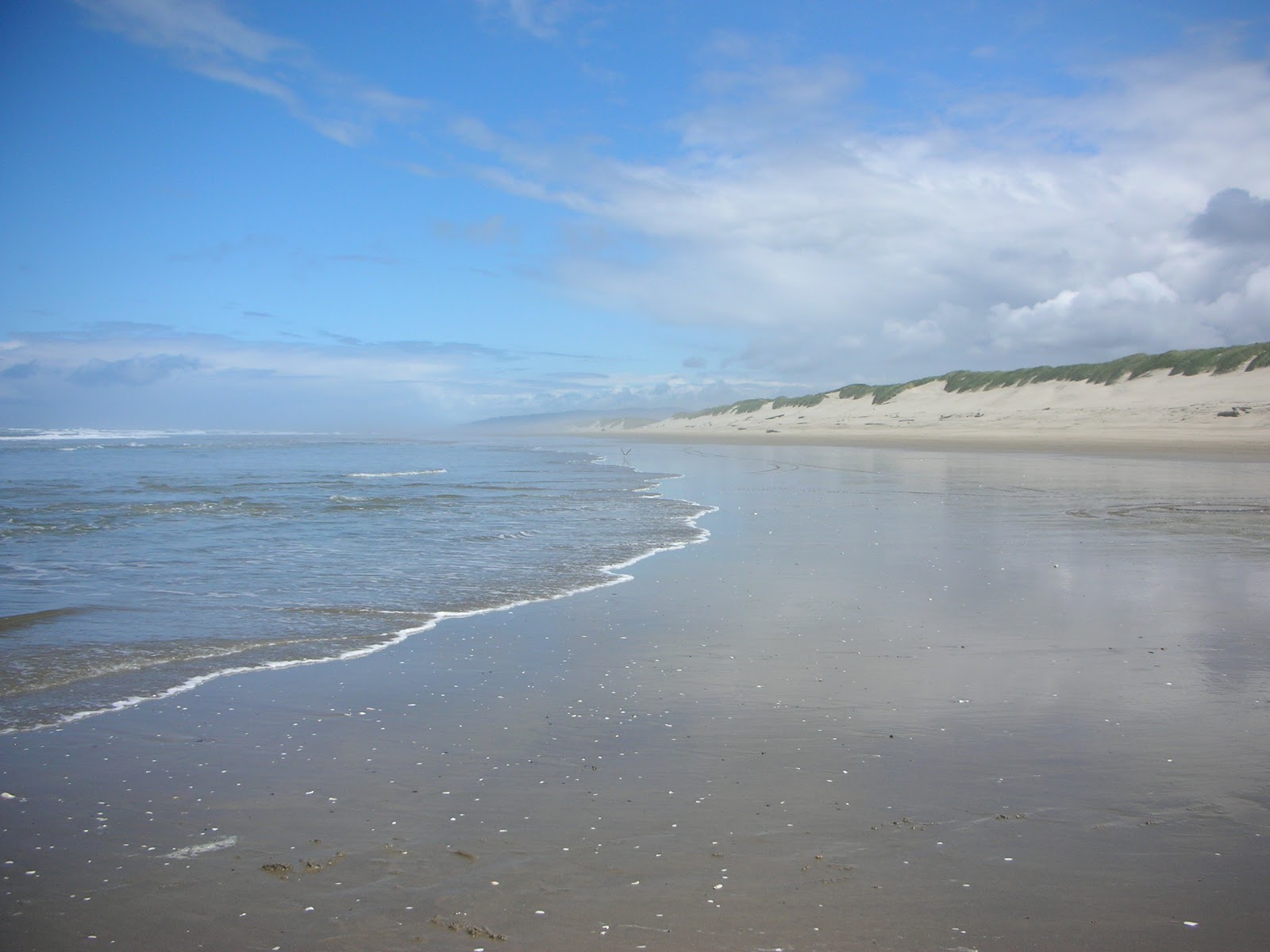 Photo of South Jetty Beach with blue water surface