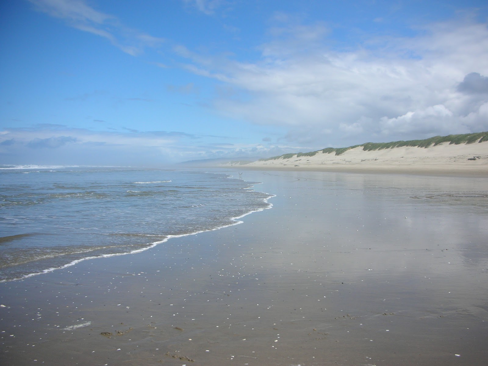 Foto von South Jetty Beach mit lange, gerade küste