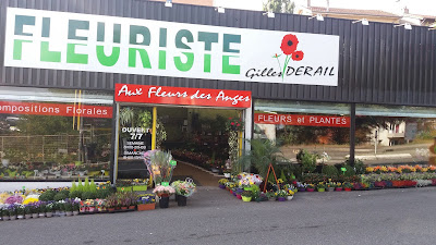 Aux Fleurs des Anges à Saint-Étienne