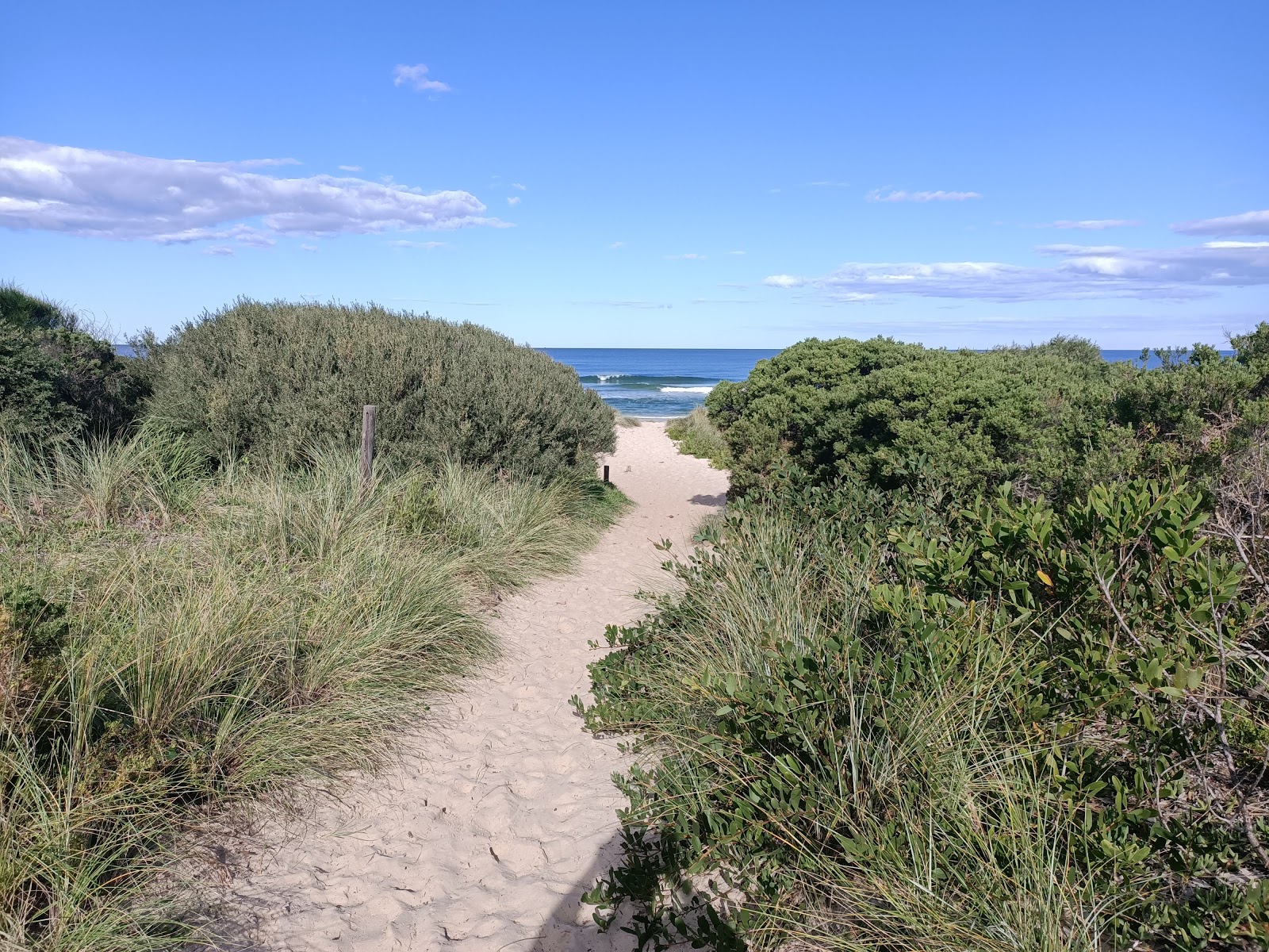 Murramarang Beach photo #8