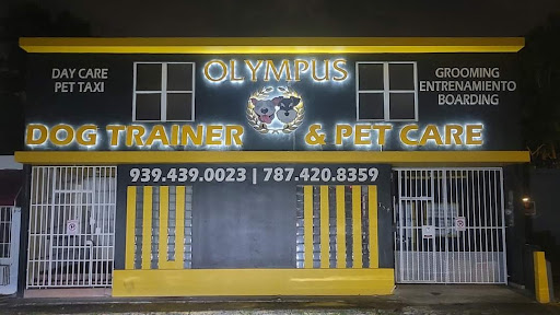 Olympus Dog Trainer & Pet Care